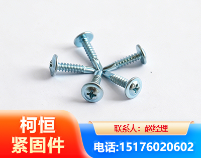 蚌埠华司钻尾丝